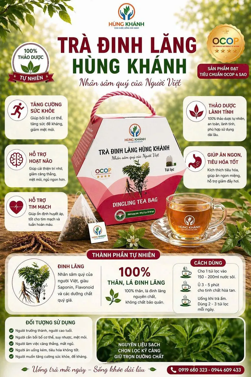 Trà Đinh Lăng - Hùng Khánh