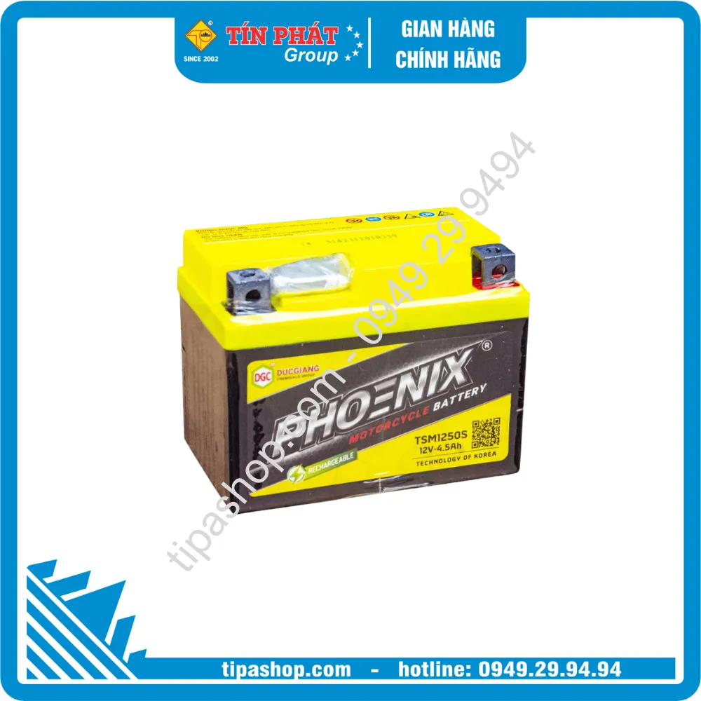 Bình ắc quy khô Phoenix TSM 1250S 