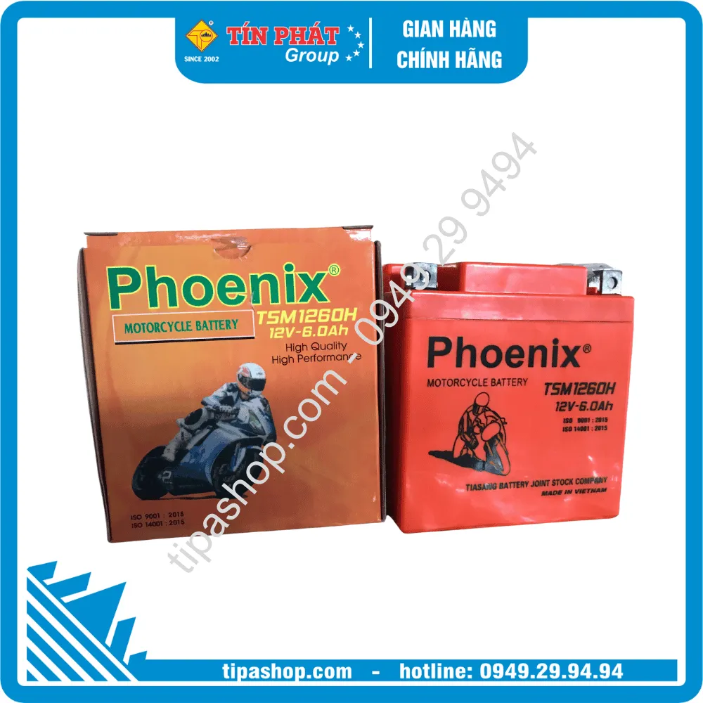 Bình ắc quy khô Phoenix TSM 1260H 