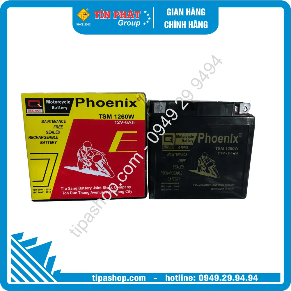Bình ắc quy khô Phoenix TSM 1260W 